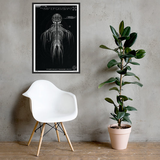 Stu.art - ://Central_Neuro_System