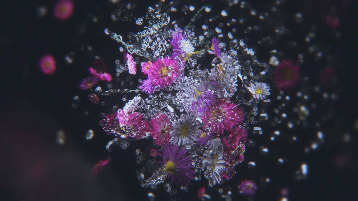 Sage Arts - Flora VJ Pack