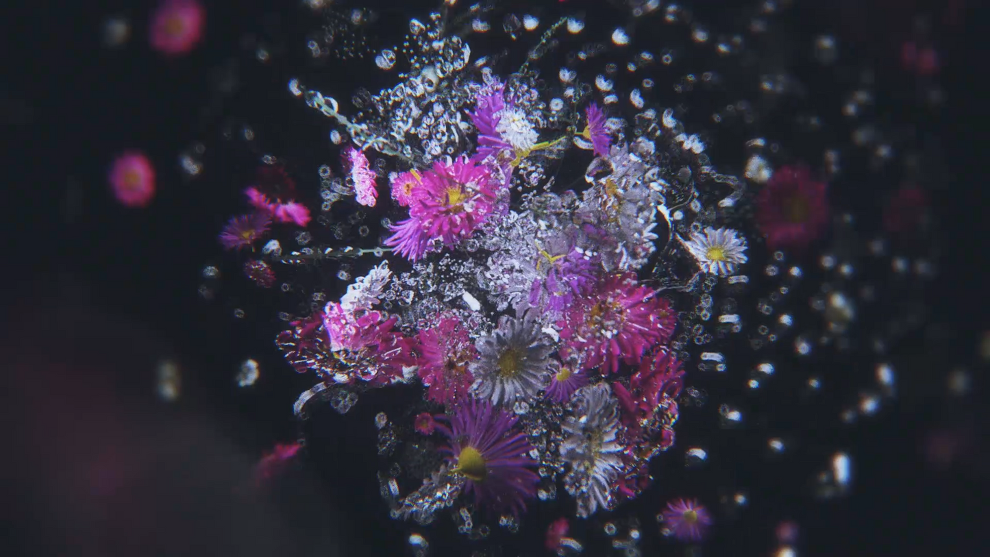 Sage Arts - "Flora" VJ Pack